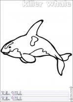 coloriage-orque